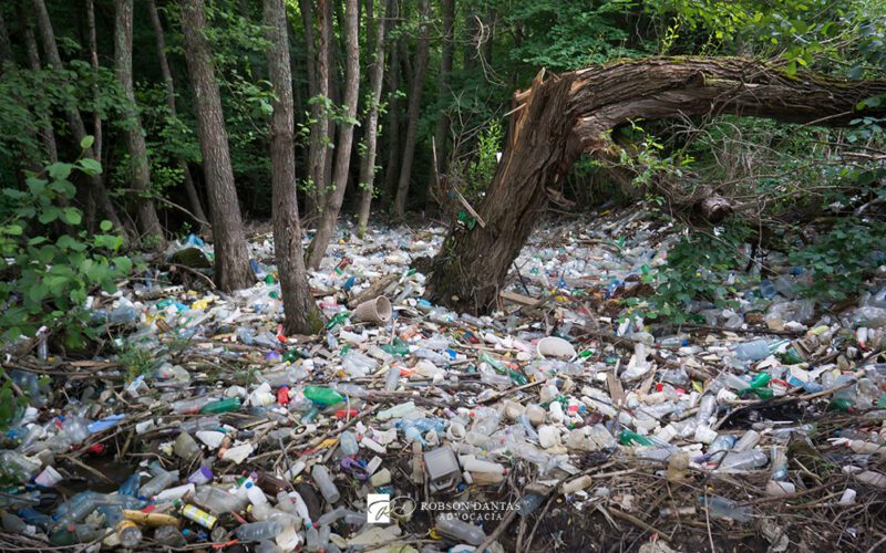 Crime ambiental: O que devo saber? Crime ambiental: O que devo saber?