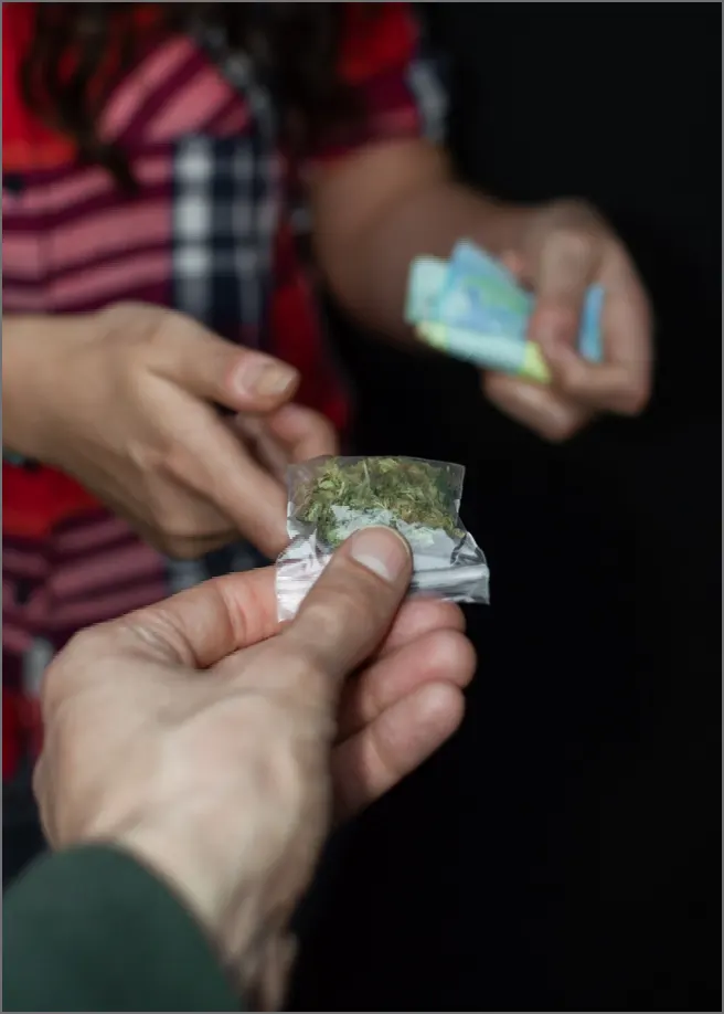 Advogado Criminal - Crimes Contra as relações de Consumo